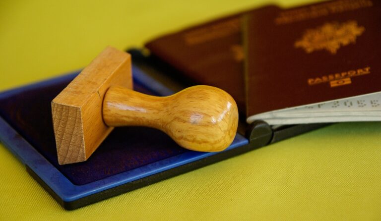 ЄС прагне повністю цифрових візових процедур до 2025 року